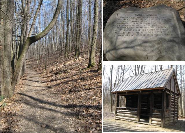 Towner's Woods in Kent, Ohio, on a Sunny Afternoon