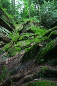 Walking the ledges at Virginia Kendall