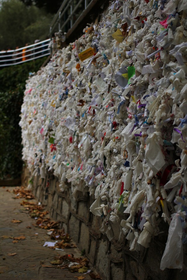 The Wishing Wall, filled with bits of papers in all kinds of languages with prayers to Mary
