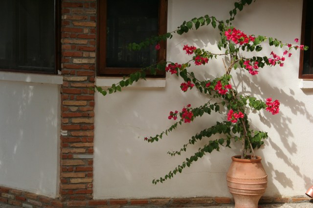 Magna Grecia Estate for our afternoon of indulgence