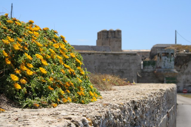 We couldn't walk around the little island, but we walked as far south as possible, enjoying the weather.