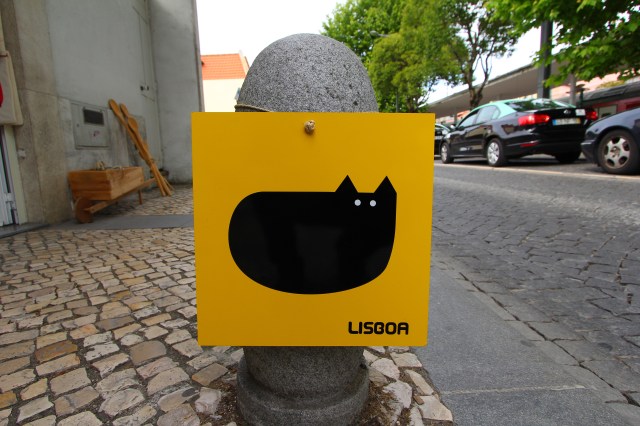 An incredible trip, but we were ready to head home and see our cat! :)