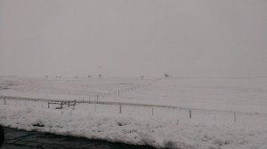 Snow piling up along I-90 in western South Dakota
