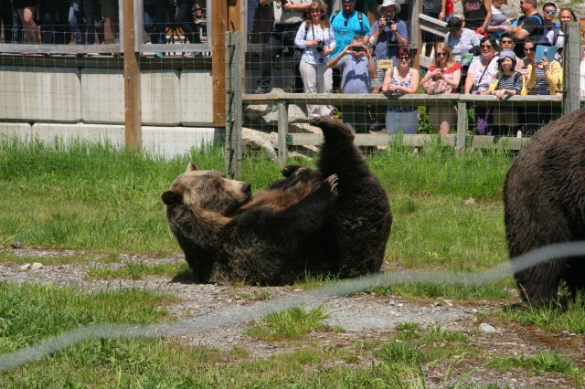 Grinder showing off a bit