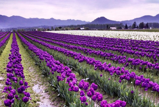 IMG_20160416_094505541_HDR_LUCiD