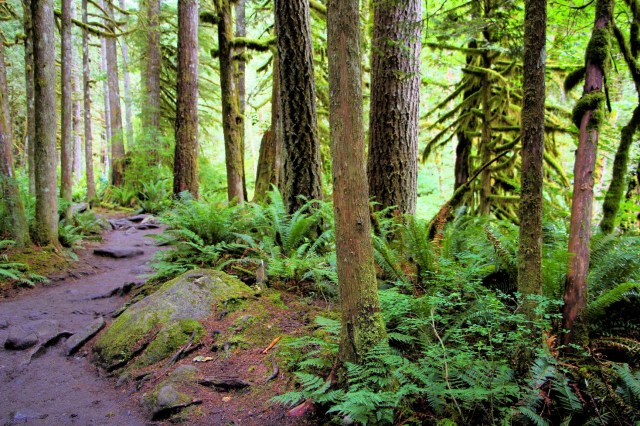 IMG_5866_LUCiD_LUCiD