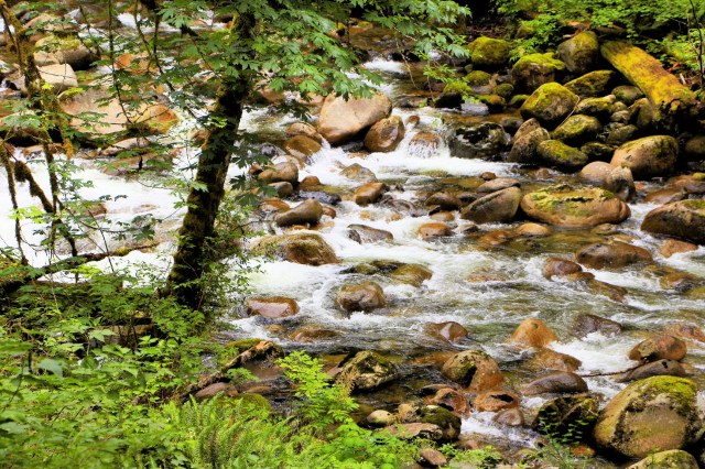 IMG_5867_LUCiD_LUCiD