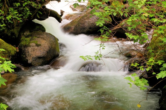 IMG_5878_LUCiD_LUCiD