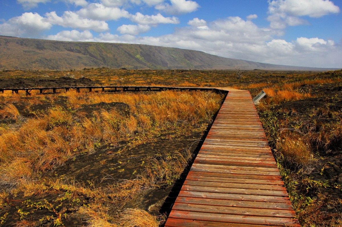 Hawaii’s Big Island: Volcano National Park – Heather's Compass