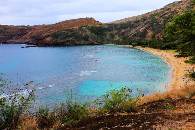 100T4030_LUCiD