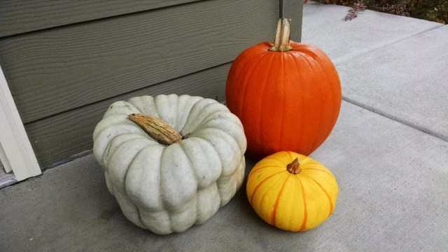 IMG_20171029_082225049_LUCiD