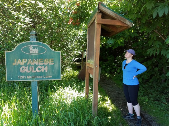 20180617_112209_LUCiD