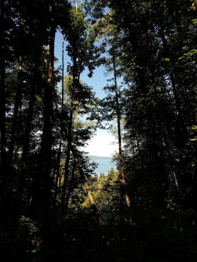 20180617_114737_LUCiD