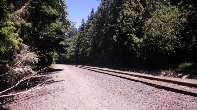 IMG_20180617_122825804_LUCiD