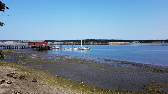 20180729_105718_LUCiD