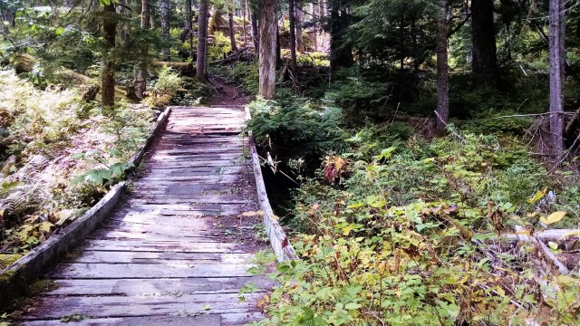 IMG_20180909_125407077_LUCiD