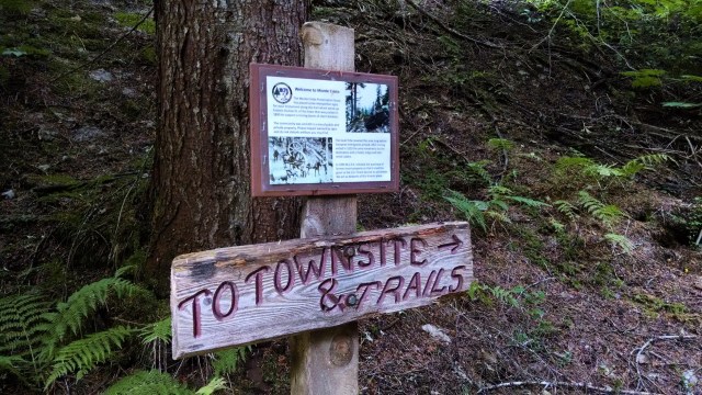 IMG_20180909_154717302_LUCiD