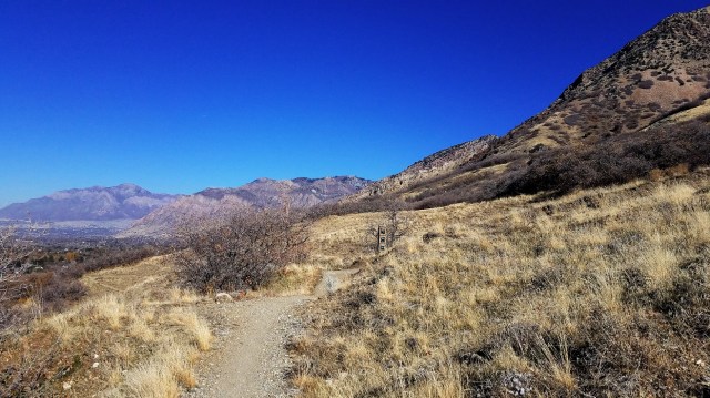 20181110_111128_LUCiD