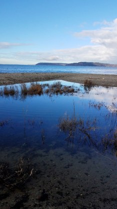 20181230_121253_LUCiD