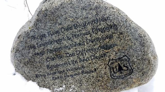 20190101_124335_lucid