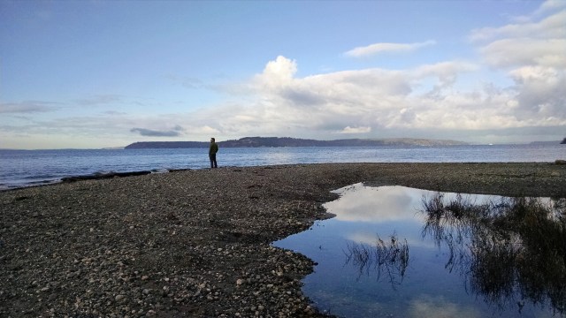 IMG_20181230_120818723_LUCiD