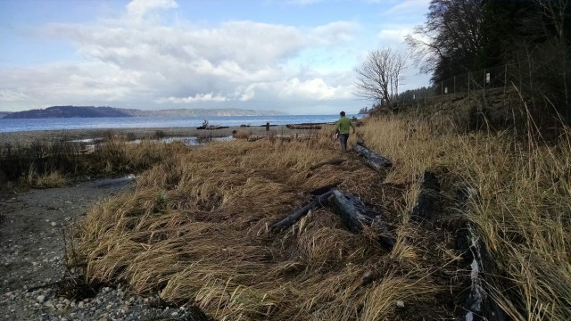 IMG_20181230_121219209_LUCiD