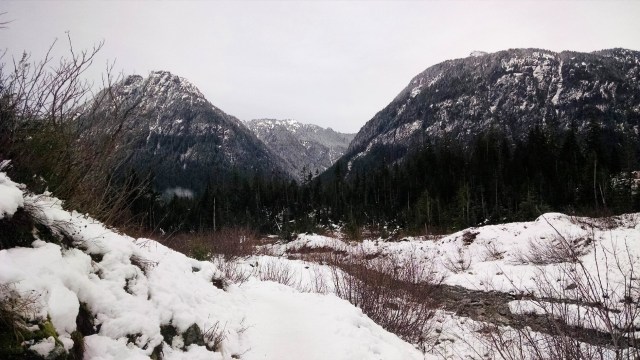 img_20190101_124446594_lucid