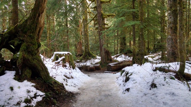 img_20190101_132410898_hdr_lucid