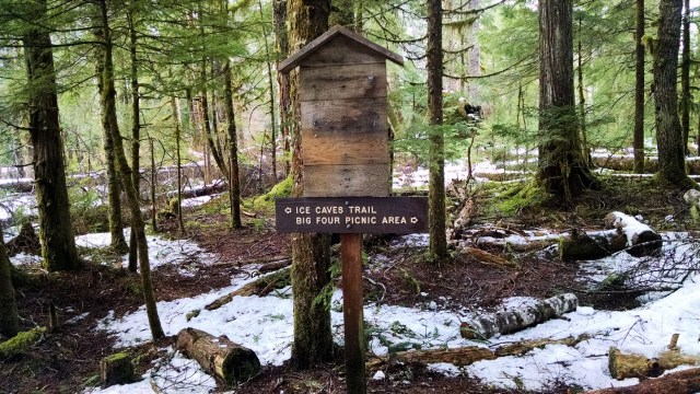 img_20190101_133626401_lucid