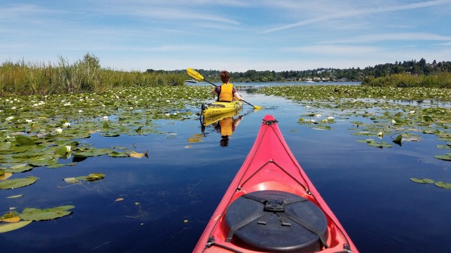 20180708_114011_LUCiD