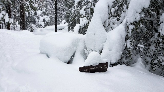 20190217_142416_LUCiD