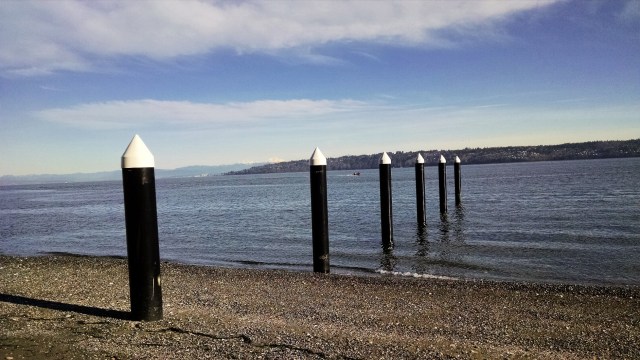 IMG_20190112_124626229_LUCiD