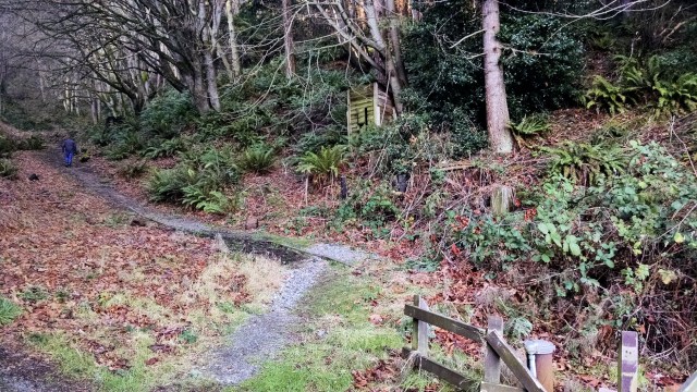 IMG_20190112_134609175_LUCiD