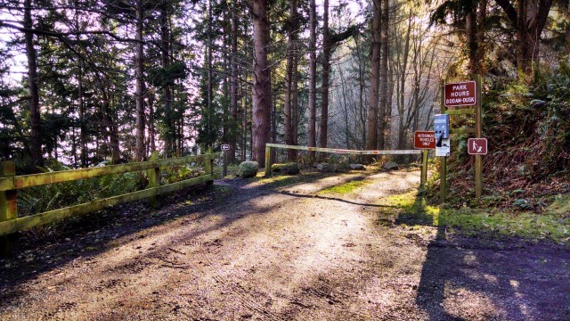 IMG_20190112_135643330_HDR_LUCiD