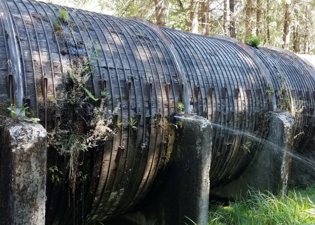 20180902_125259_LUCiD