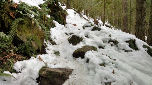 IMG_20190302_094737229_HDR_LUCiD