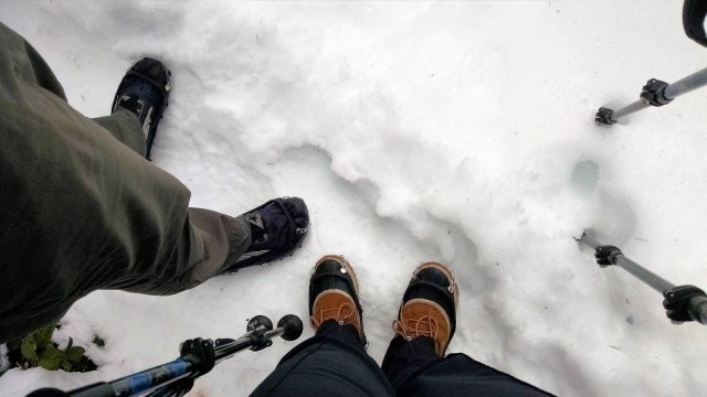 IMG_20190302_101713239_LUCiD