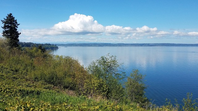 20190428_114126_LUCiD