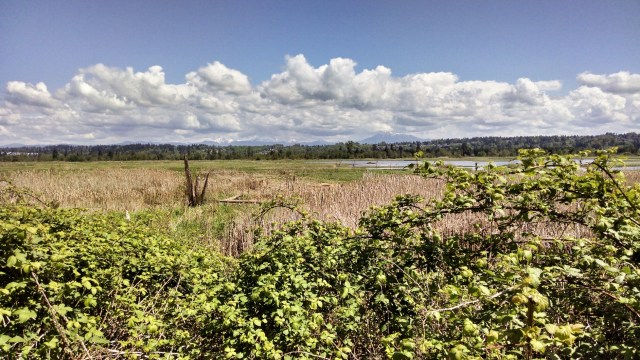 IMG_20190428_125844005_HDR_LUCiD