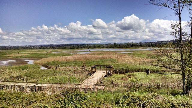 IMG_20190428_130049830_HDR_LUCiD