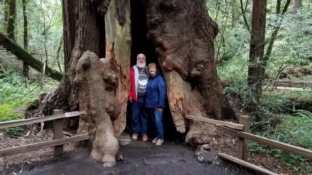 20190526_132820_LUCiD