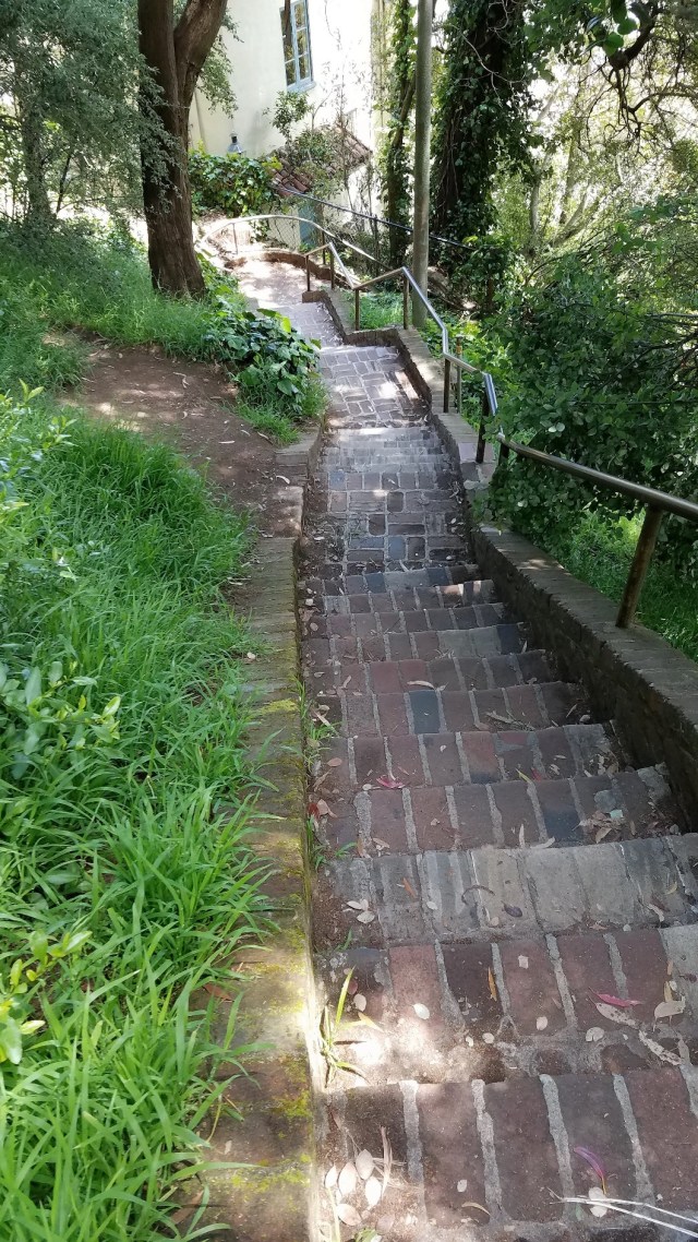 20190527_121216_LUCiD