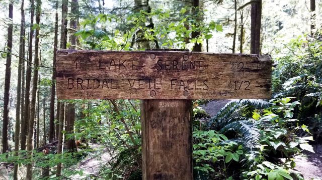 20190504_111516_LUCiD