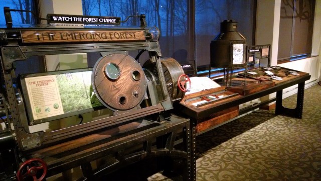 IMG_20181221_095956363_LUCiD