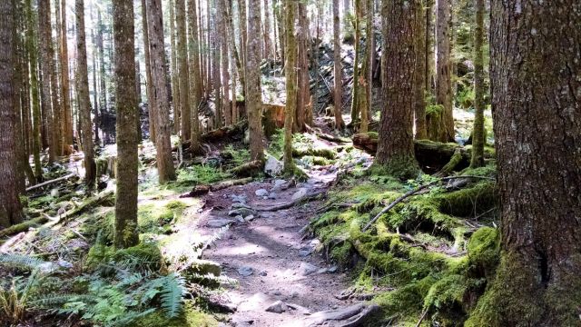 IMG_20190504_112026221_LUCiD