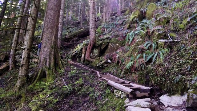 IMG_20190504_115634241_LUCiD