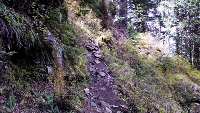 IMG_20190504_121036252_LUCiD