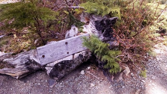 IMG_20190504_132032211_LUCiD