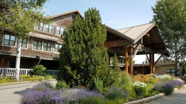 20190704_095531_LUCiD