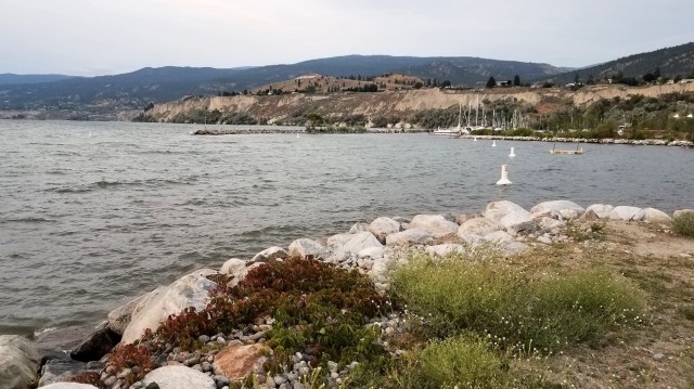 20190704_205452_LUCiD